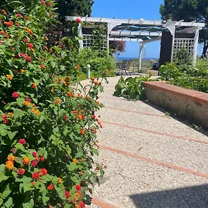 Sophia , Isola di Ustica Italia